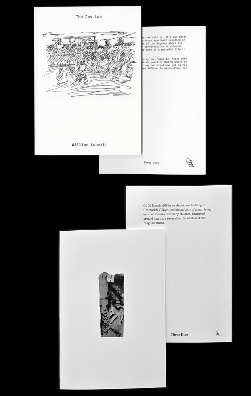  - Double Three Dice: William Leavitt ✕ Bobby Driscoll ⇶ présentés par Sophie Vinet, Fiona Vilmer & Ludovic Sauvage