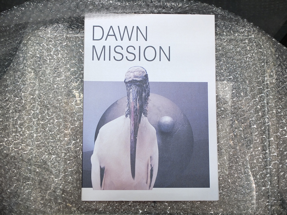 NOVITSKOVA, Katja - Dawn Mission