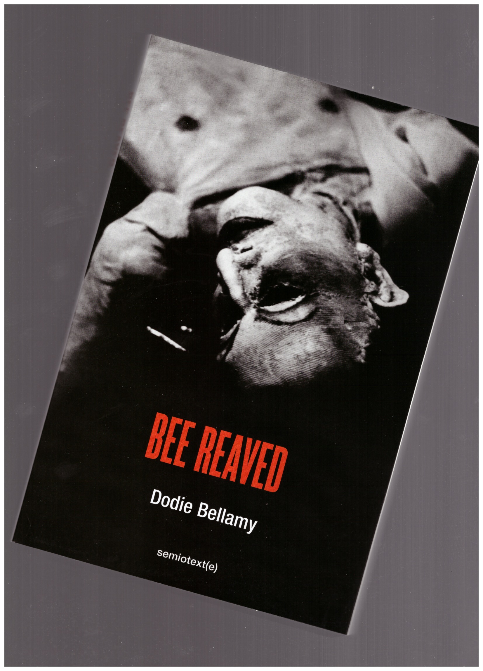 BELLAMY, Dodie - Bee Reaved