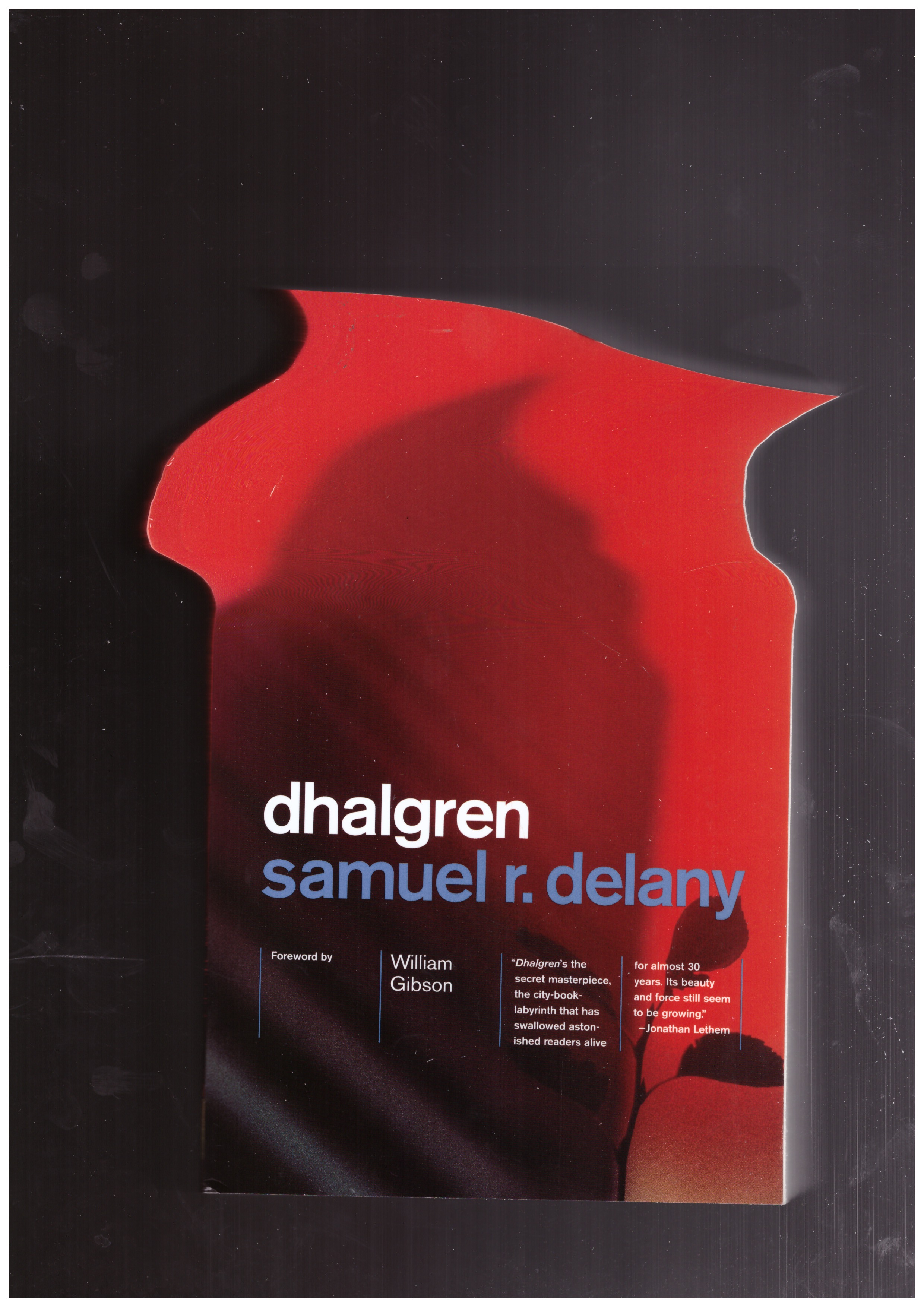 DELANY, Samuel R. - Dhalgren