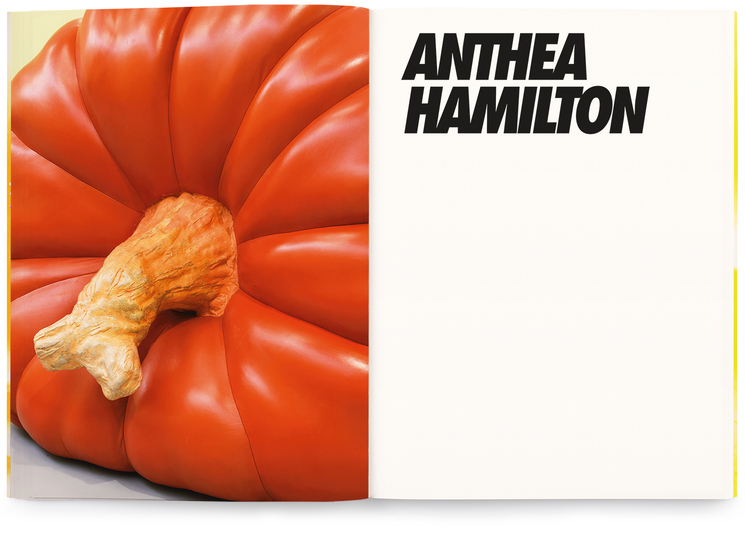 HAMILTON, Anthea - Mash Up. Works from 1999 to 2022