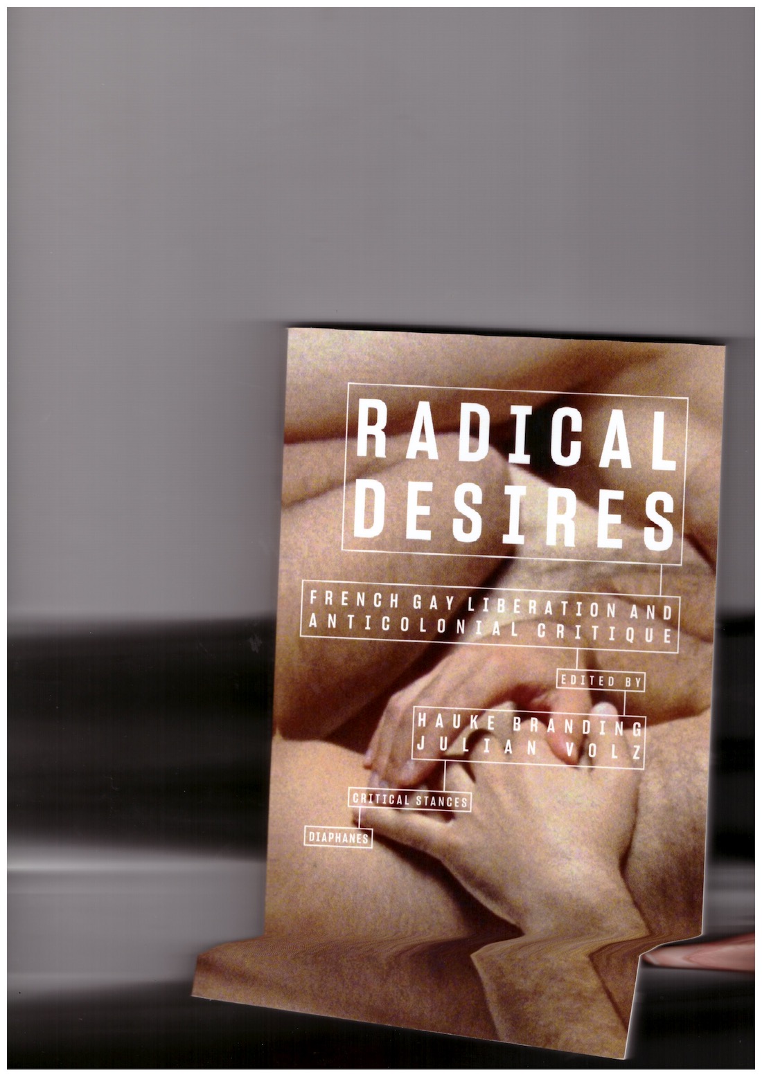 BRANDING, Hauke; VOLZ, Julian (eds.) - Radical Desires: French Gay Liberation and Anticolonial Critique