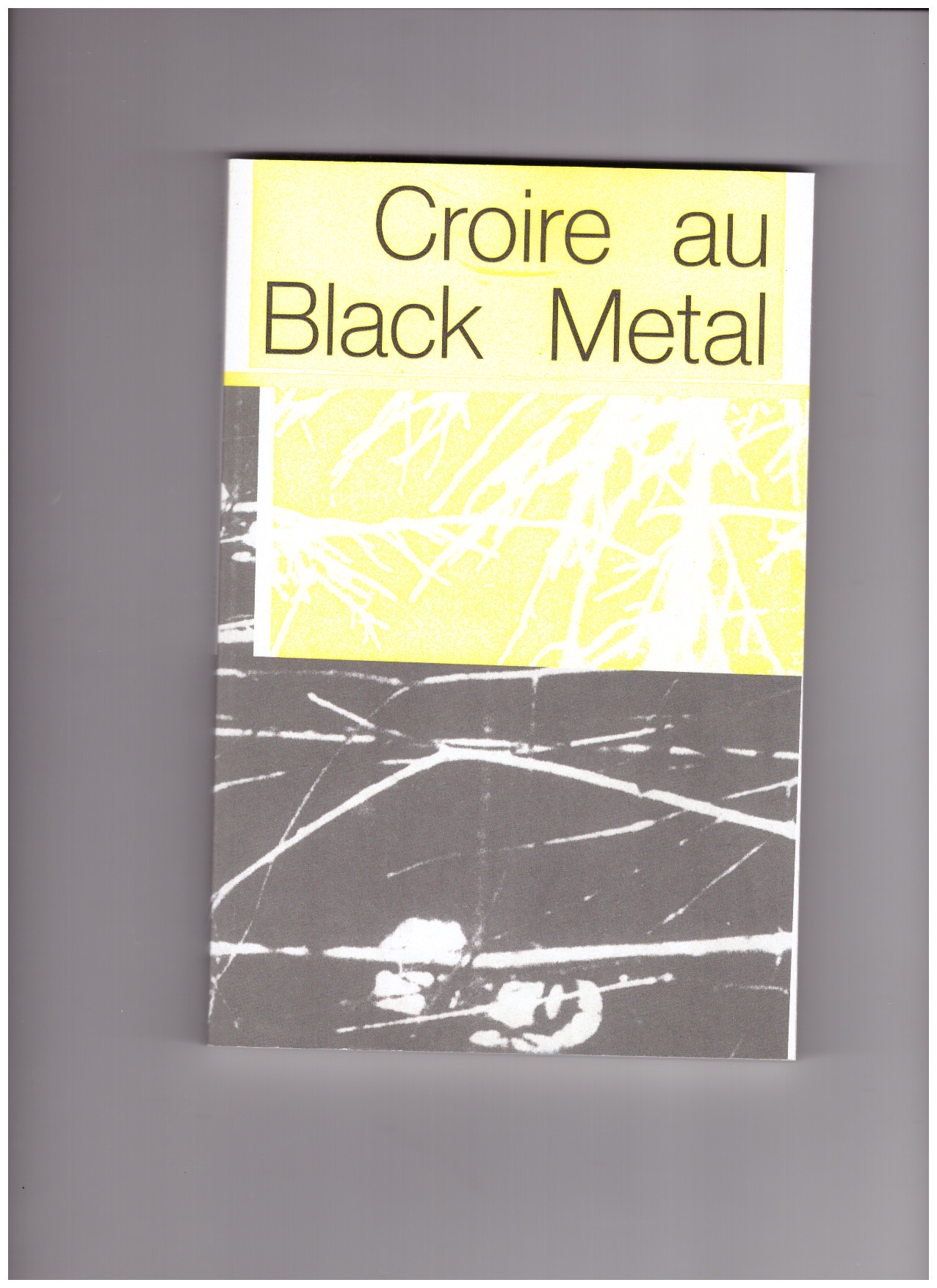 GUESDE, Catherine; VESIN, François (eds.)  - Croire au Black Metal
