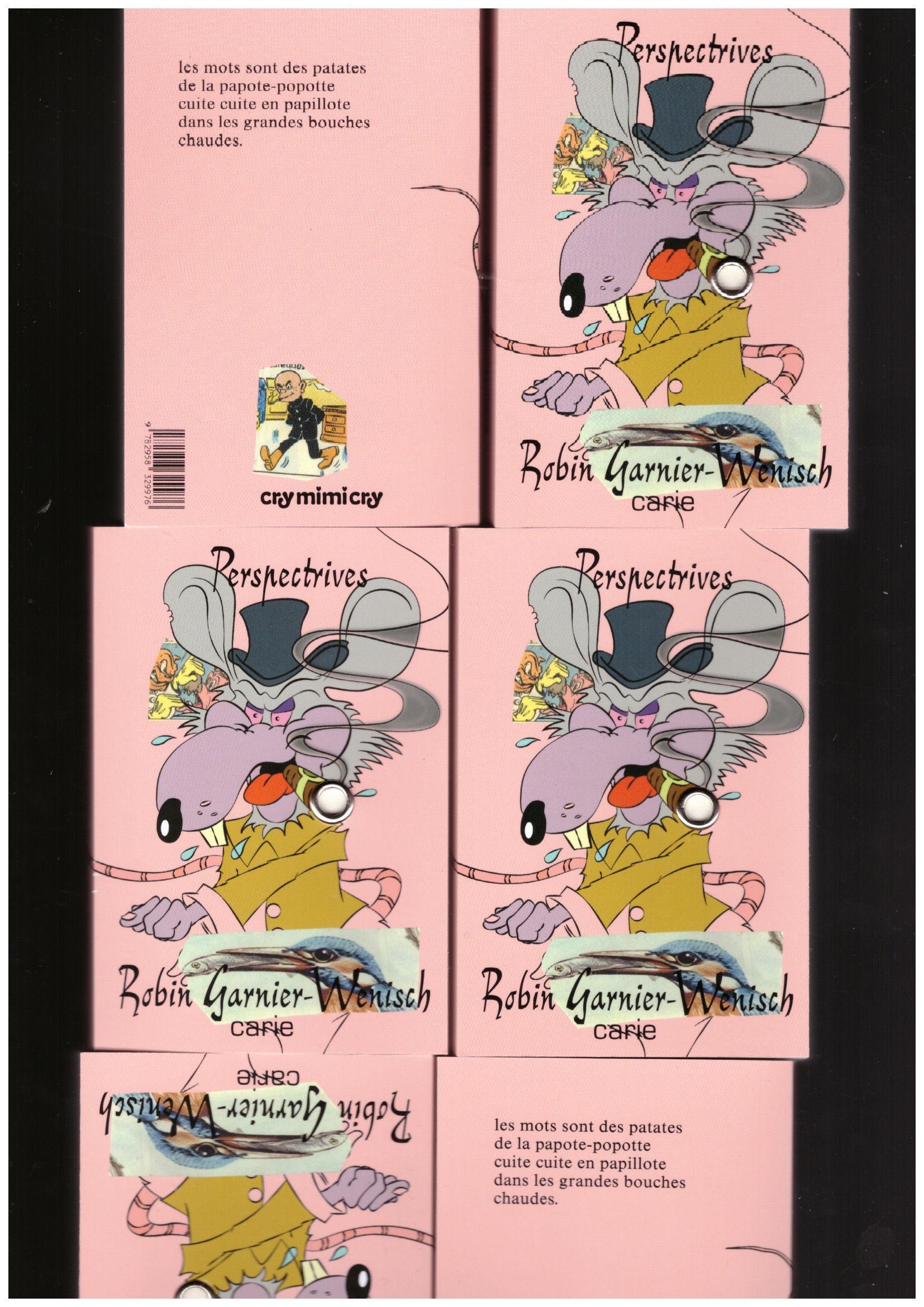 GARNIER-WENISCH, Robin - Perspectrives