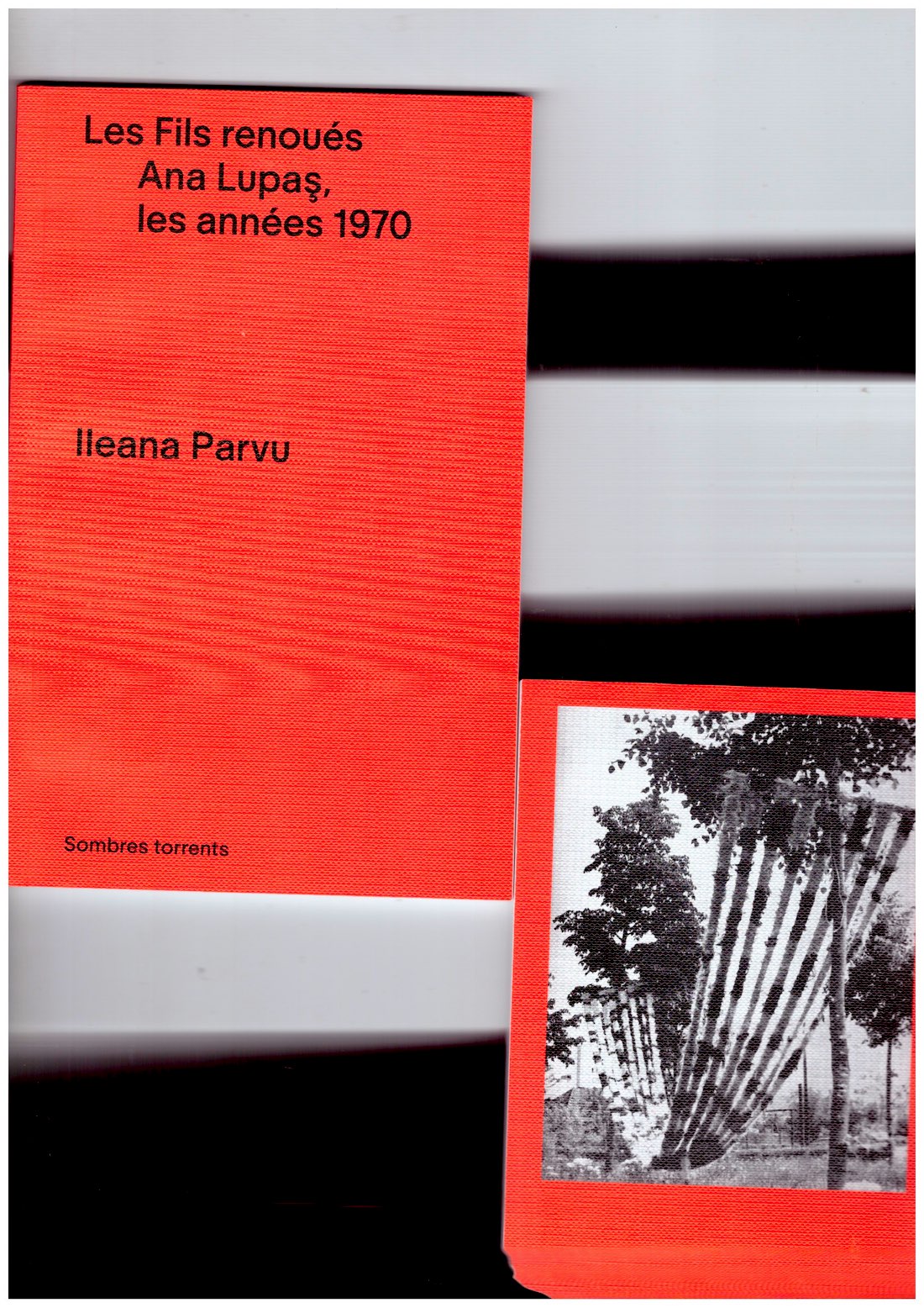 PARVU, Ileana - Les Fils renoués. Ana Lupaş, les années 70