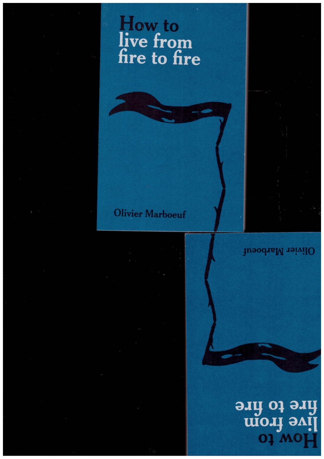 MARBOEUF, Olivier - How to Live from Fire to Fire