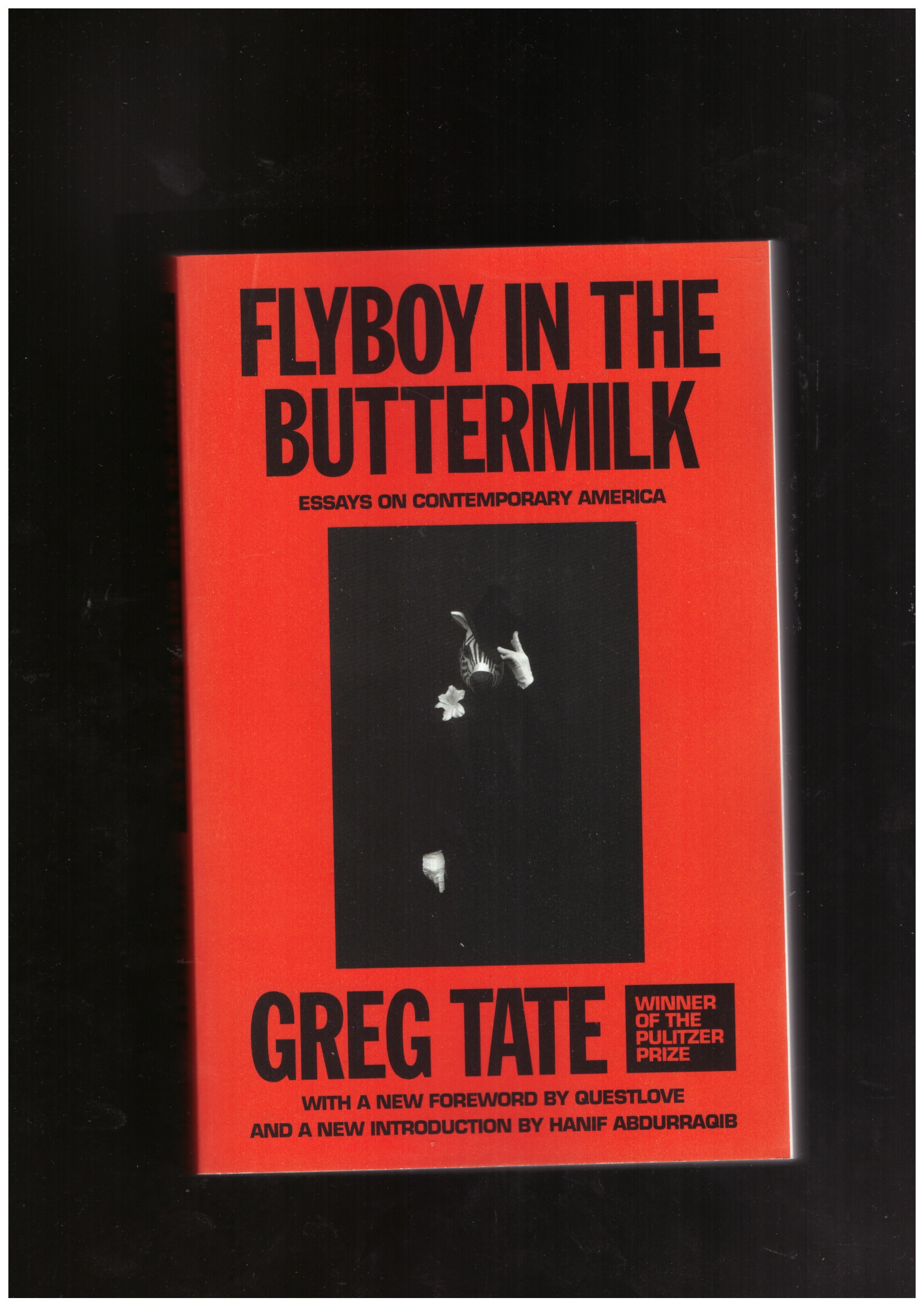 TATE, Greg - Flyboy in the Buttermilk