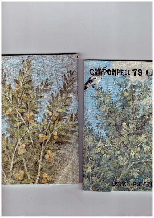 RUSSELL, Legacy - Gay Pompeii 79 A.D. (Cura Books,GenderFail Press)