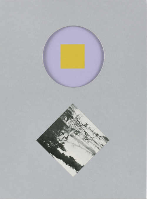 BOVE, Carol; BRINSON, Katherine (ed.) - Carol Bove (Guggenheim Museum Publications)