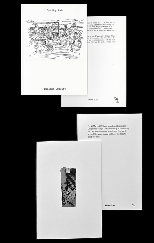 Double Three Dice: William Leavitt ✕ Bobby Driscoll ⇶ présentés par Sophie Vinet, Fiona Vilmer & Ludovic Sauvage