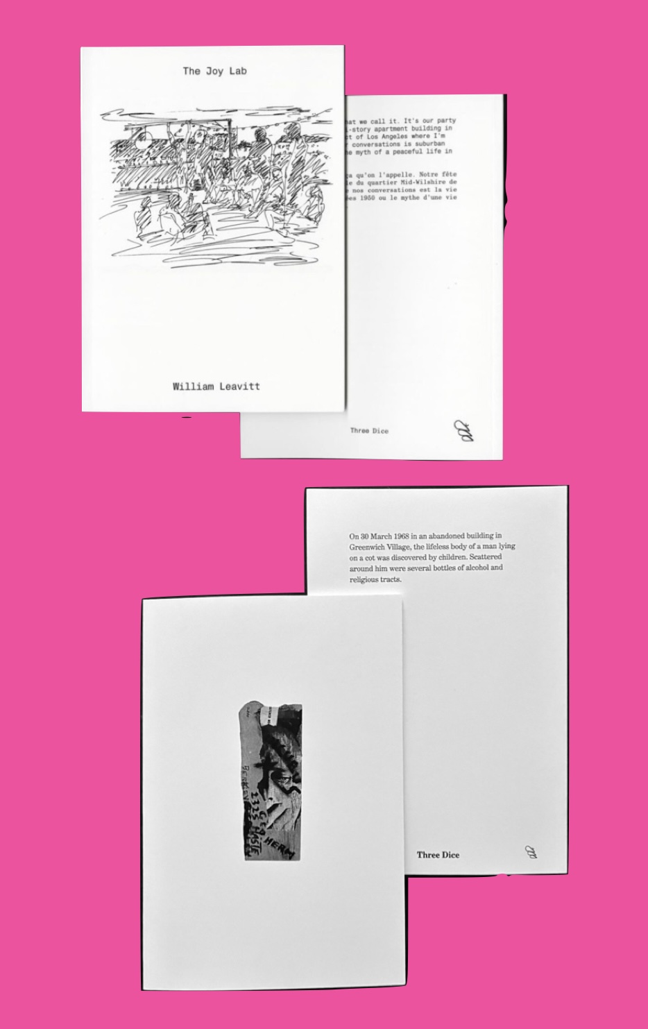  - Double Three Dice: William Leavitt ✕ Bobby Driscoll ⇶ présentés par Sophie Vinet, Fiona Vilmer & Ludovic Sauvage