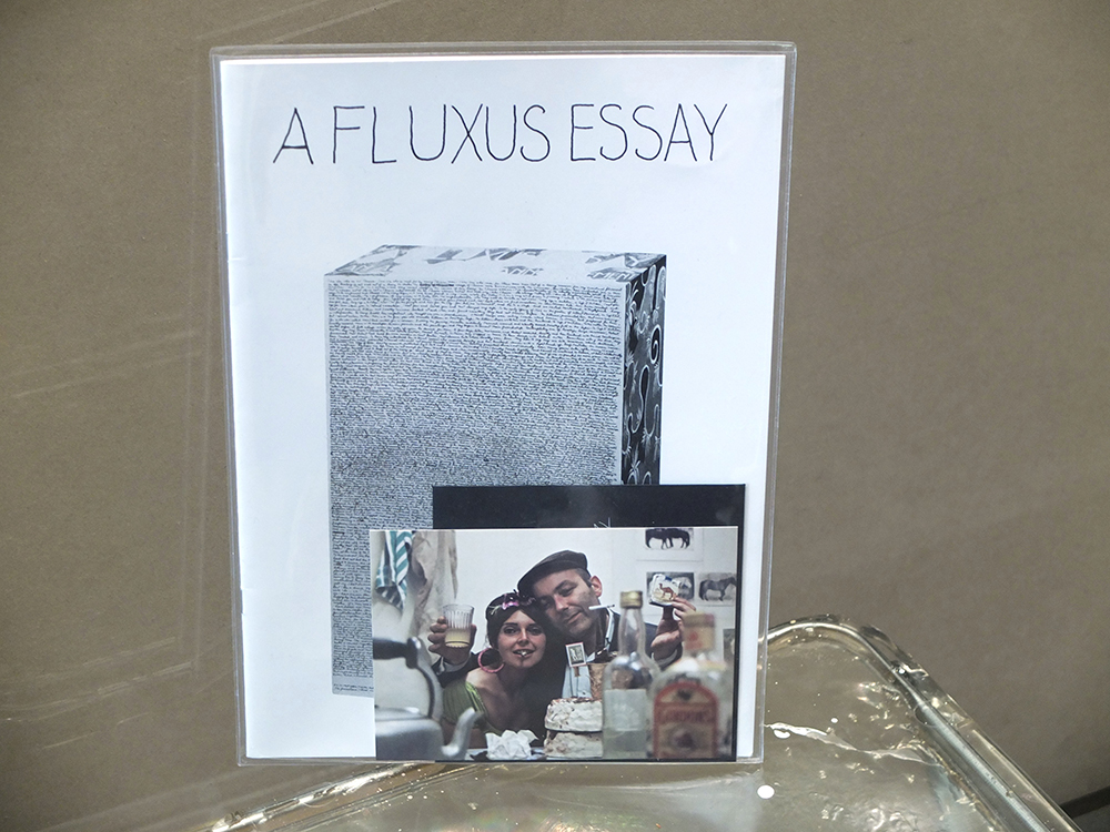 IANNONE, Dorothy - A Fluxus Essay