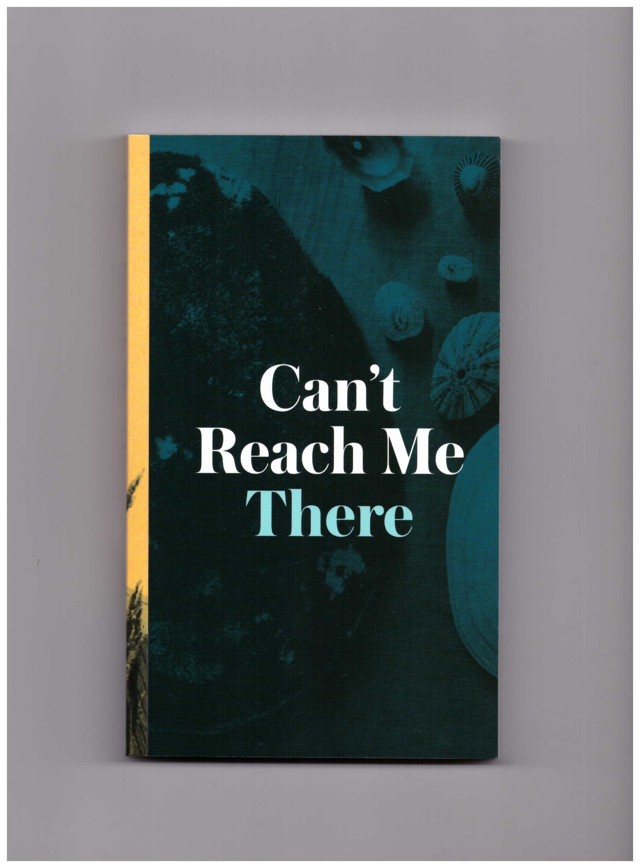 LEHRER-GRAIWER, Sarah (cur.) - Can't Reach Me There