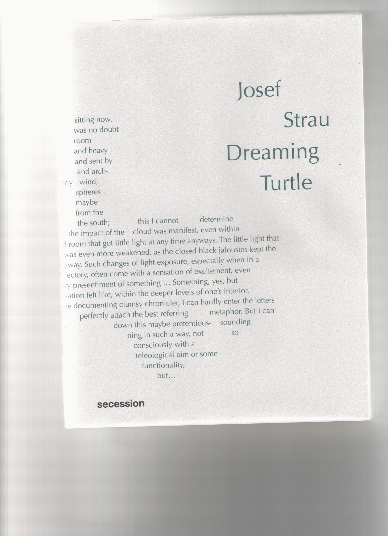 STRAU, Josef - Dreaming Turtle