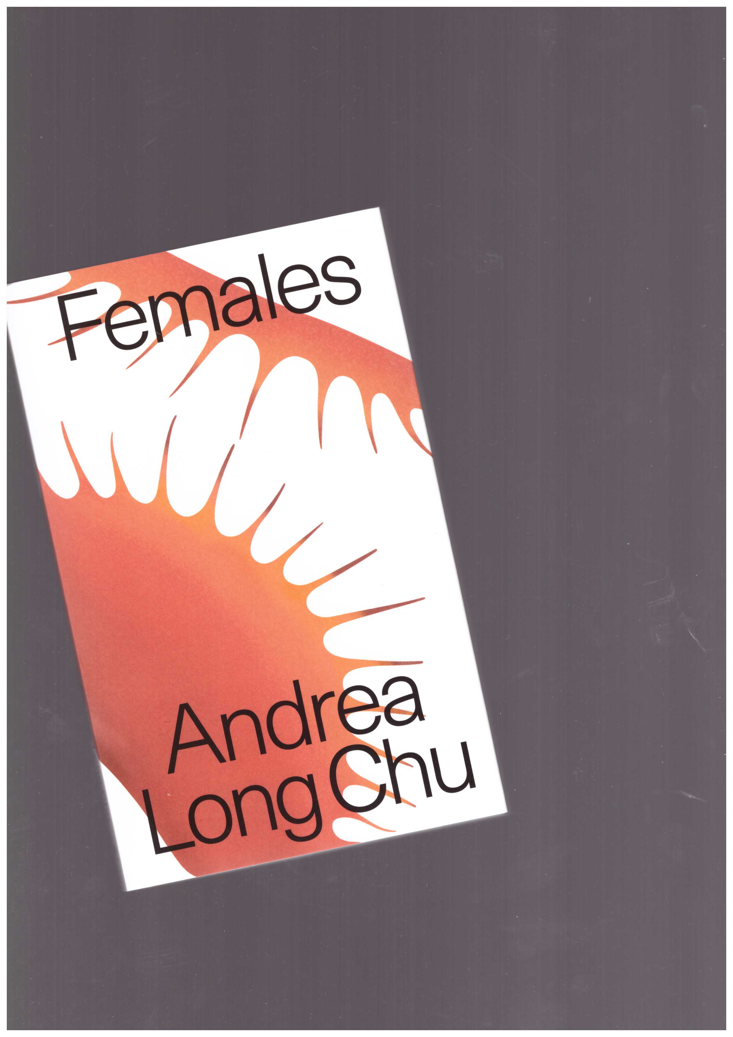 LONG CHU, Andrea - Females