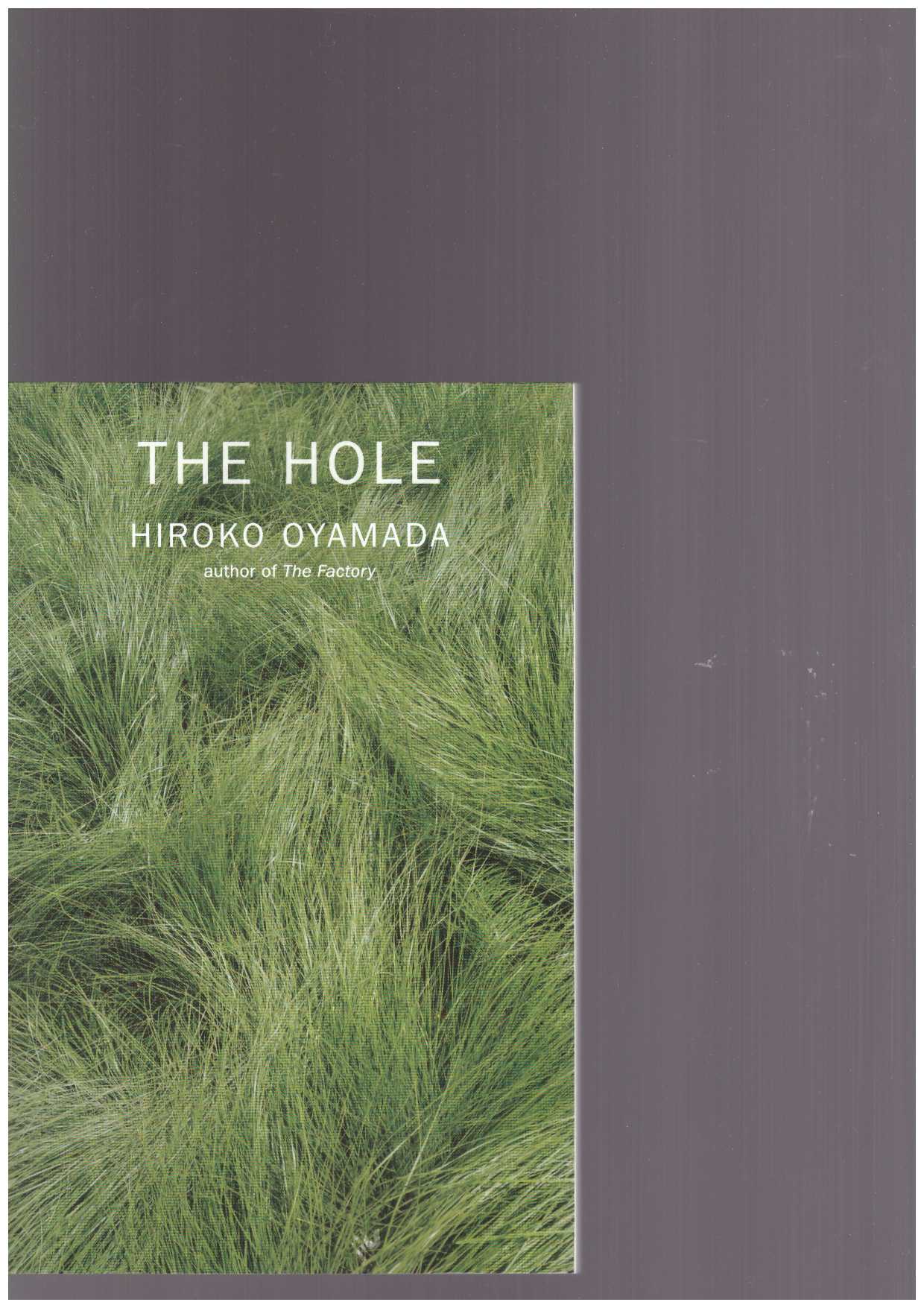 OYAMADA, Hiroko - The Hole