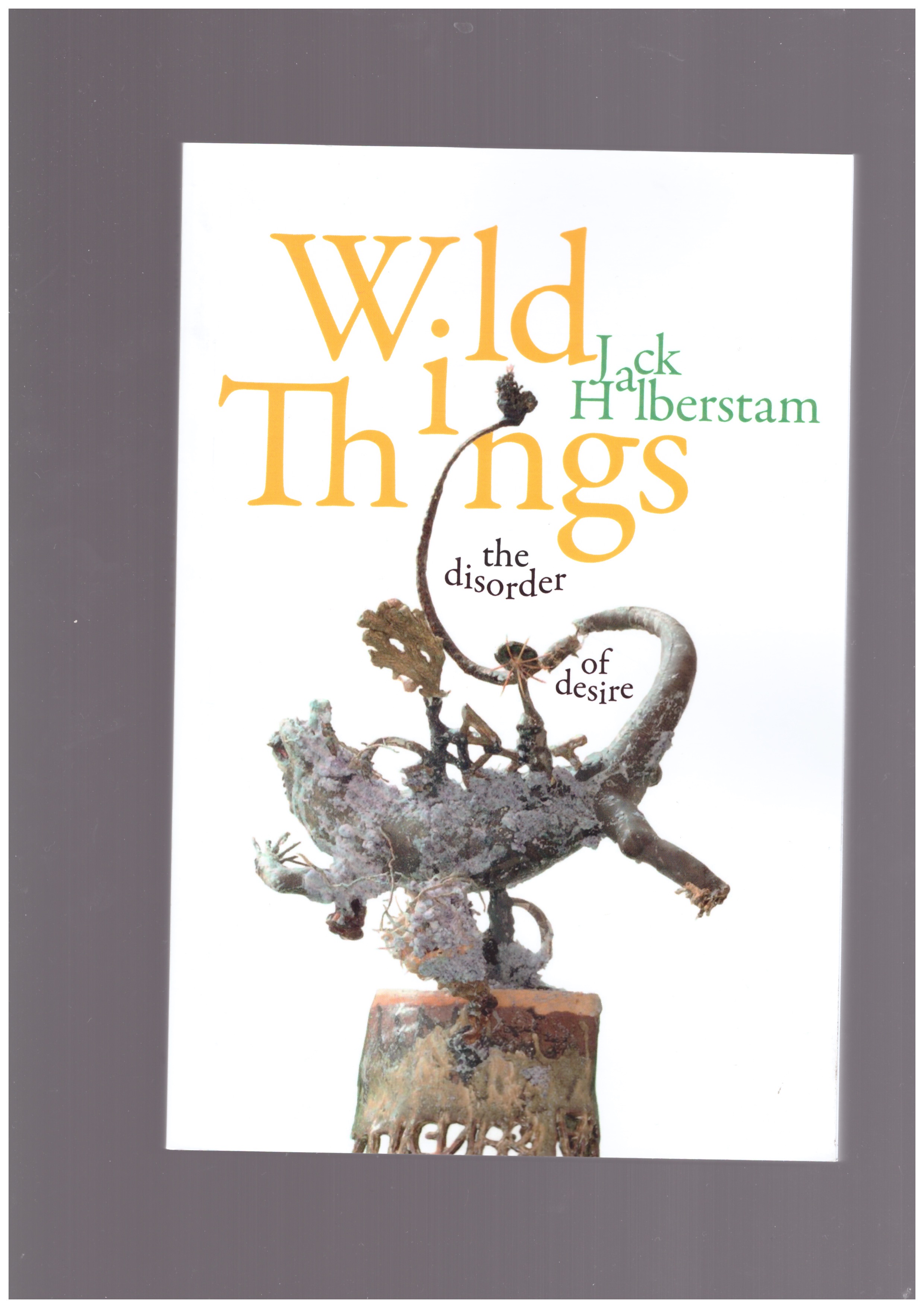 HALBERSTAM, Jack - Wild Things. The disorder of desire