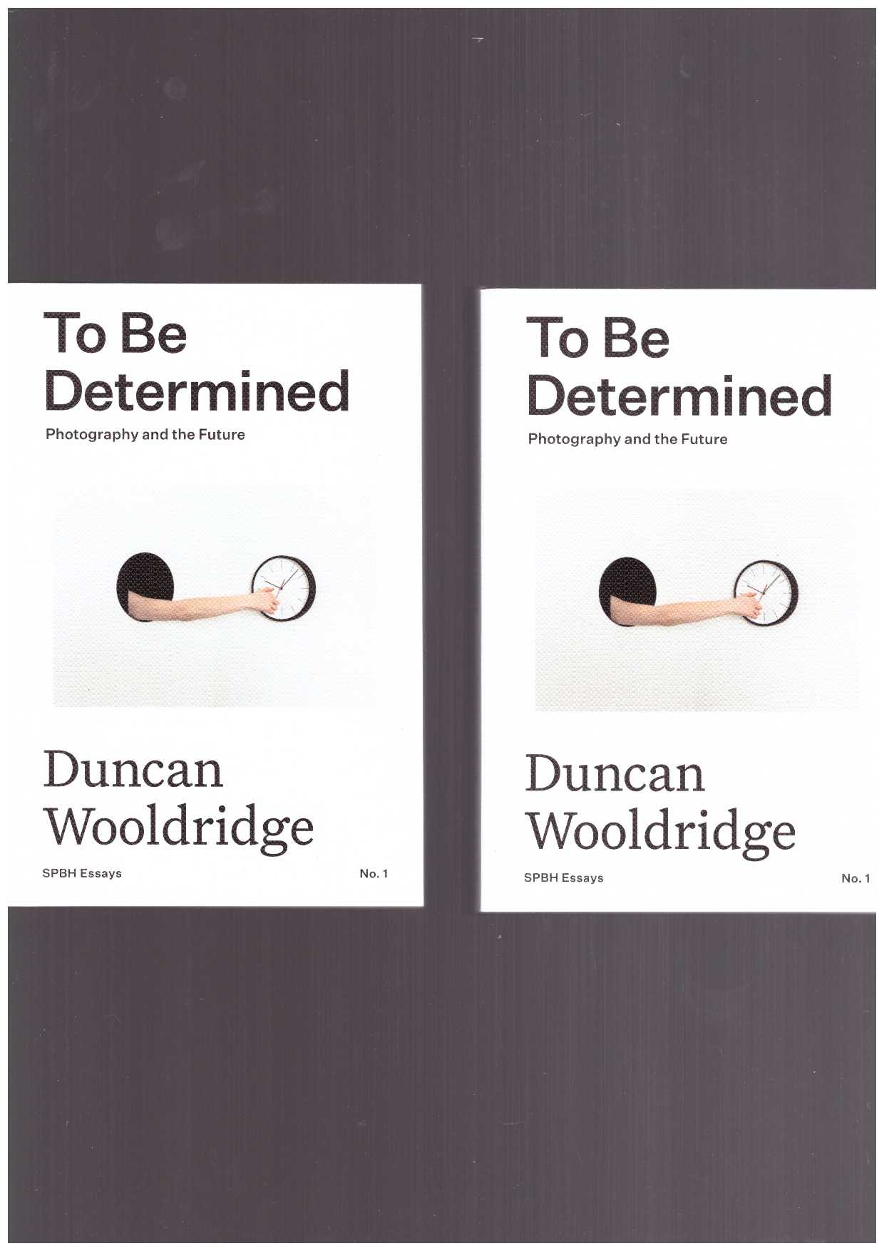 WOOLDRIDGE, Duncan  - To Be Determined: Photography and the Future