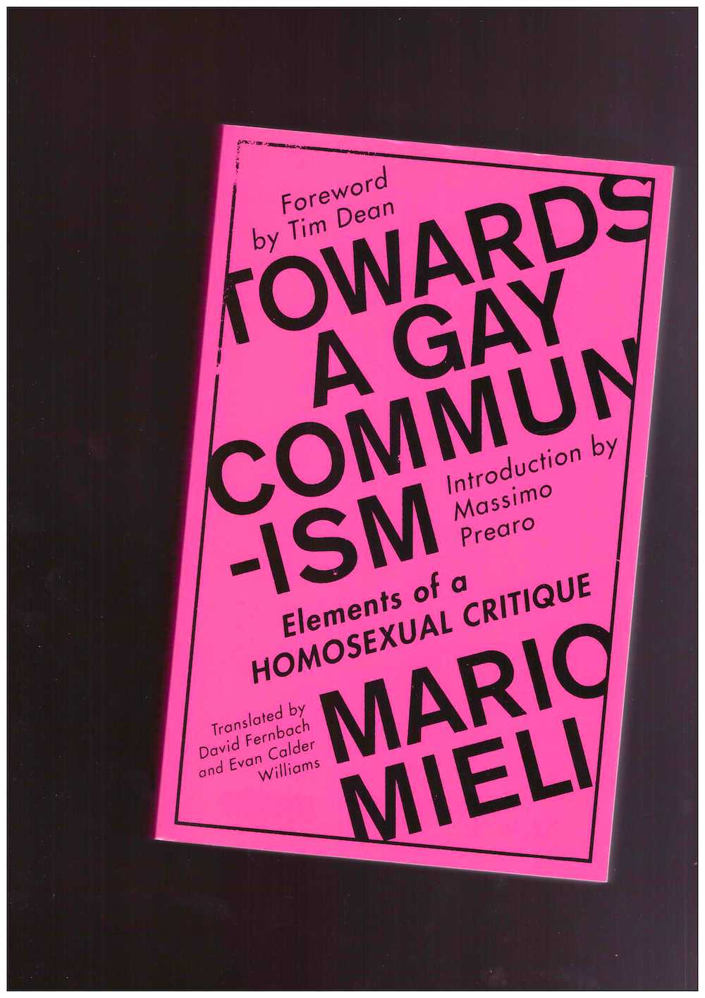 MIELI, Mario - Towards a Gay Communism. Elements of a Homosexual Critique