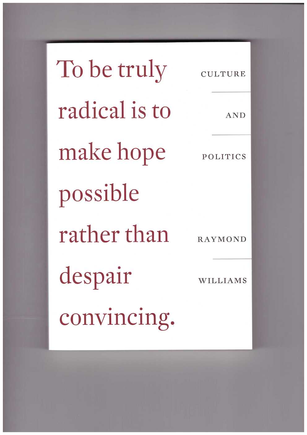 WILLIAMS, Raymond; O’BRIEN, Phil (ed.) - Culture and Politics