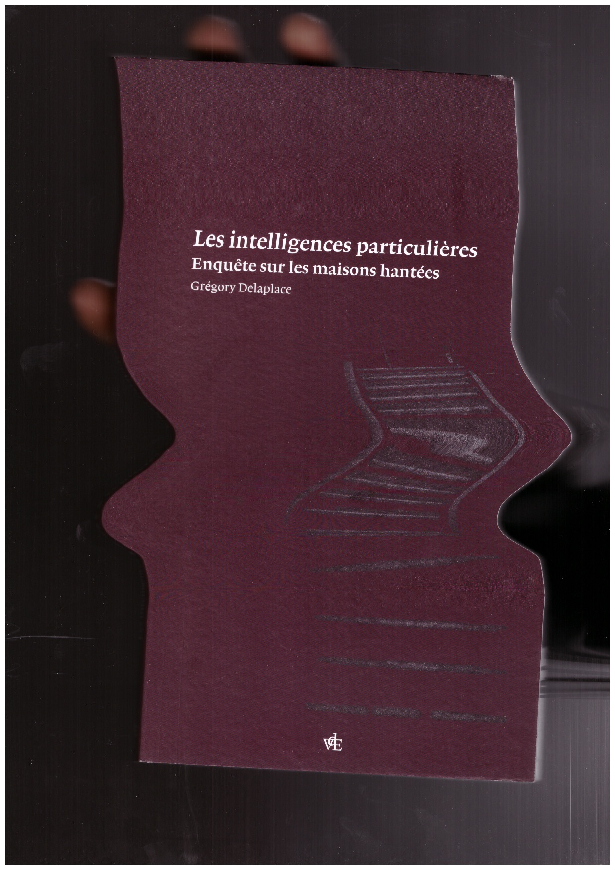 DELAPLACE, Grégory - Les intelligences particulières. Enquête sur les maisons hantées