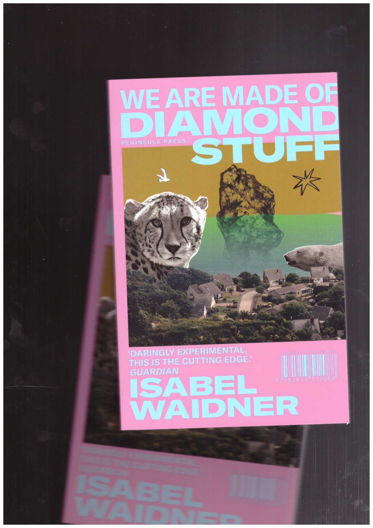 WAIDNER, Isabel  - We Are Made of Diamond Stuff