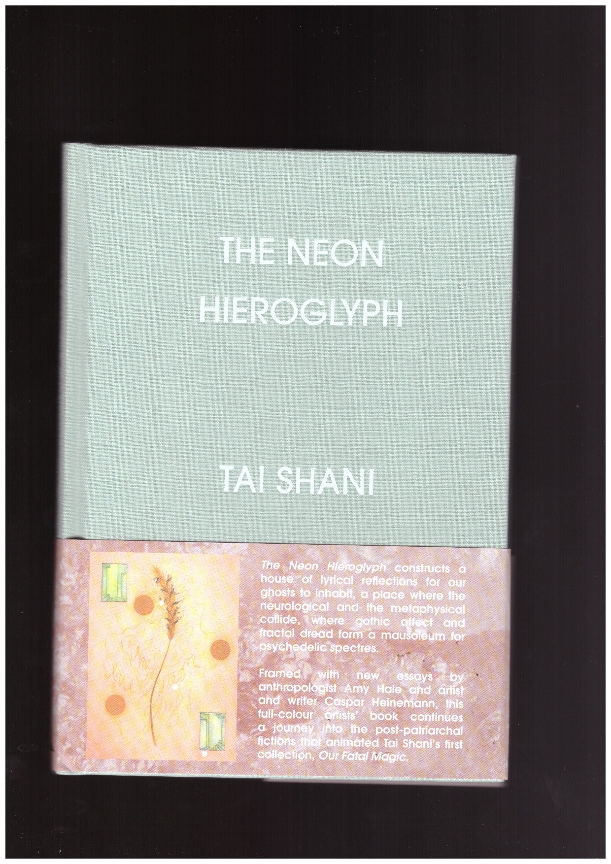 SHANI, Tai - The Neon Hieroglyph