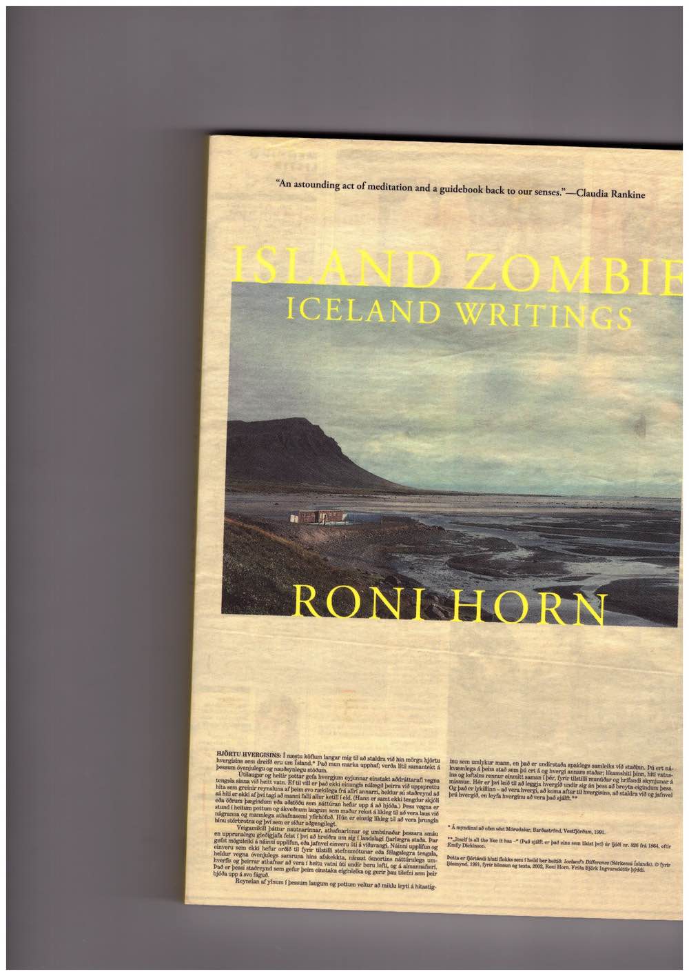 HORN, Roni - Island Zombie: Iceland Writings