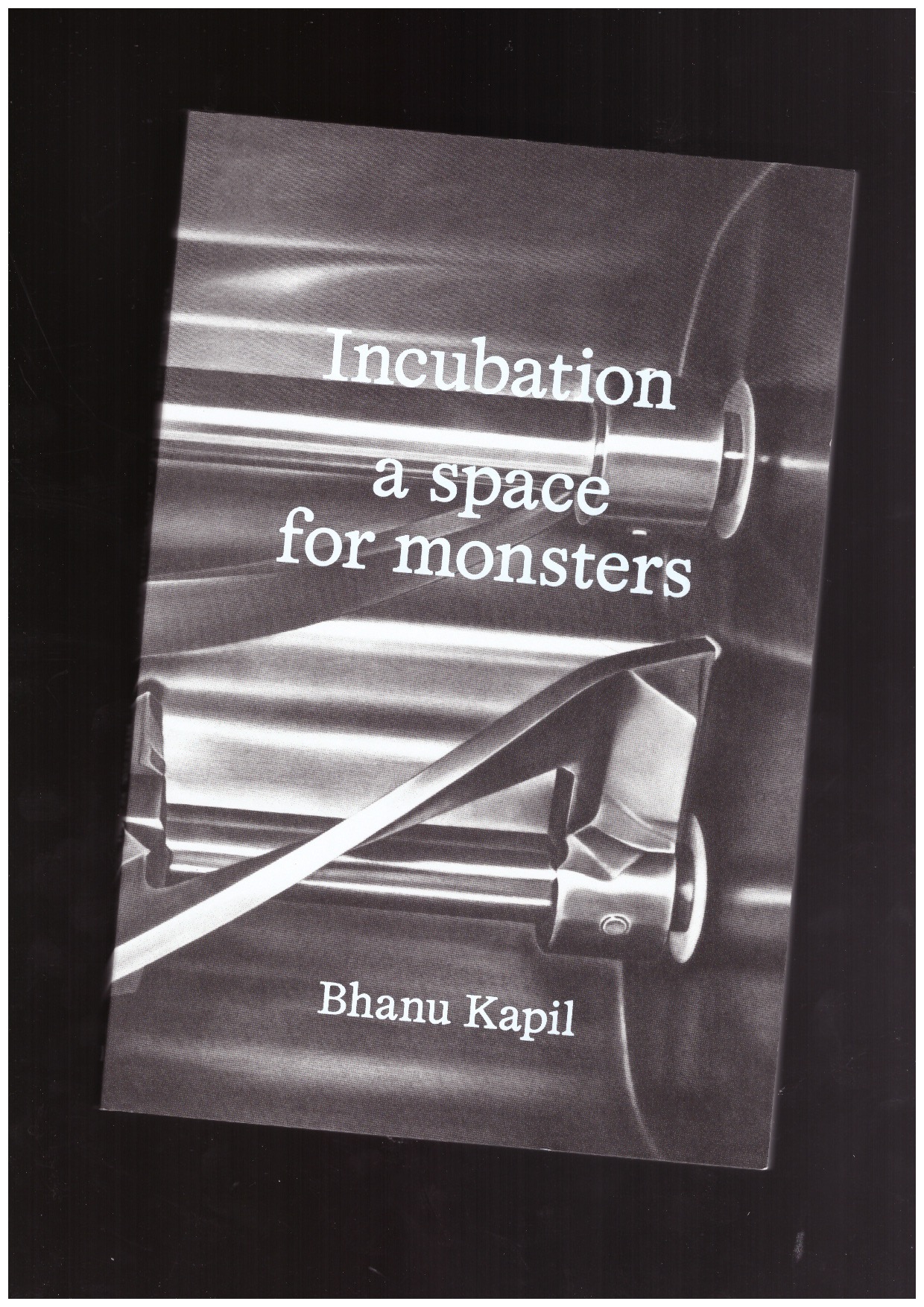 KAPIL, Bhanu - Incubation: a space for monsters