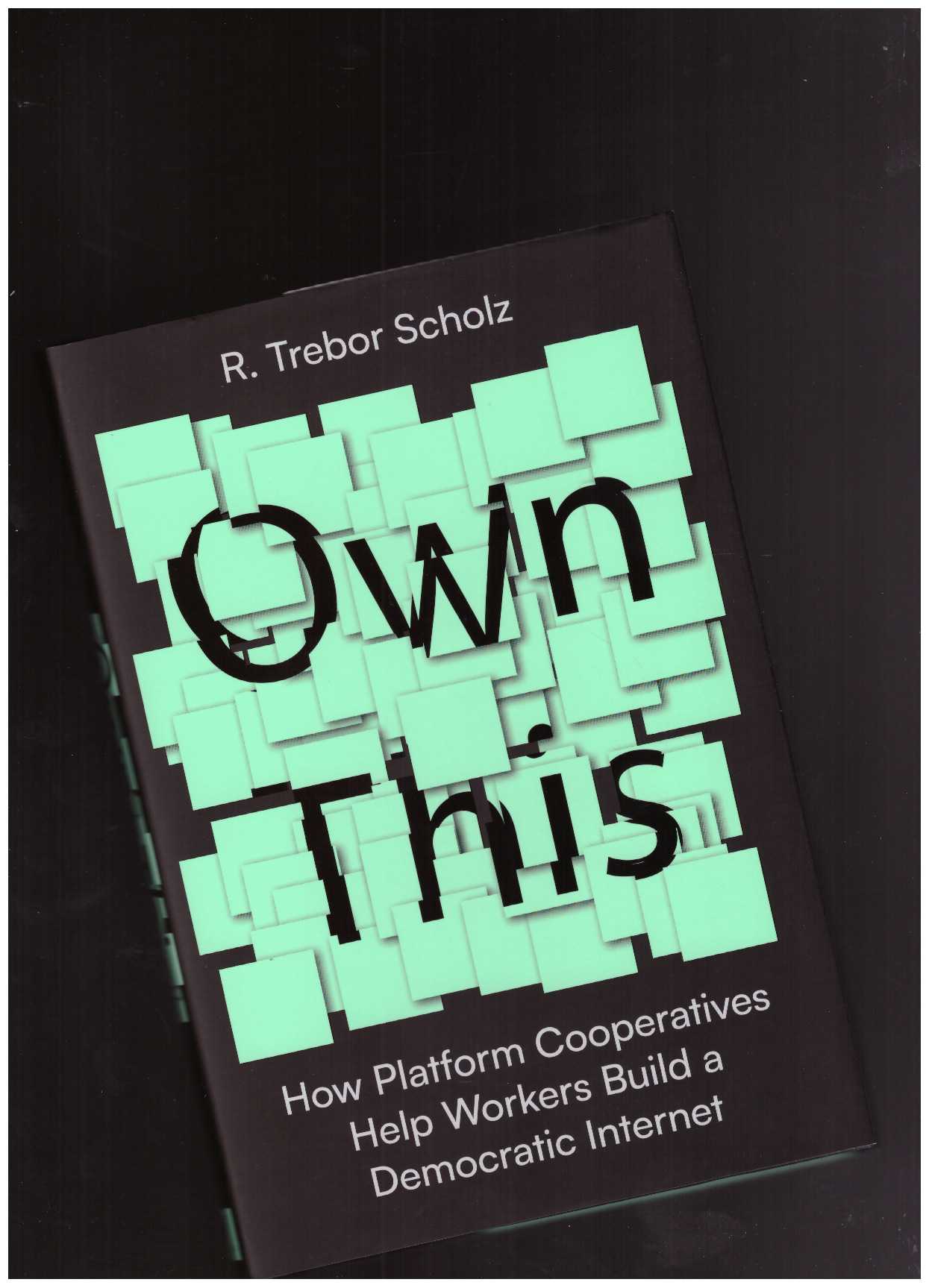 SCHOLZ, R. Trebor - Own This! How Platform Cooperatives Help Workers Build a Democratic Internet