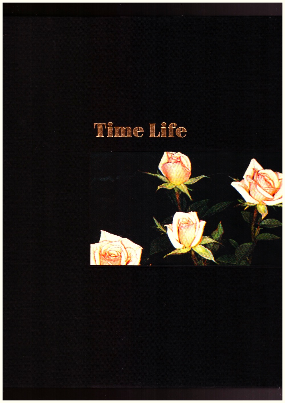 THOMSON, Mungo - Time Life