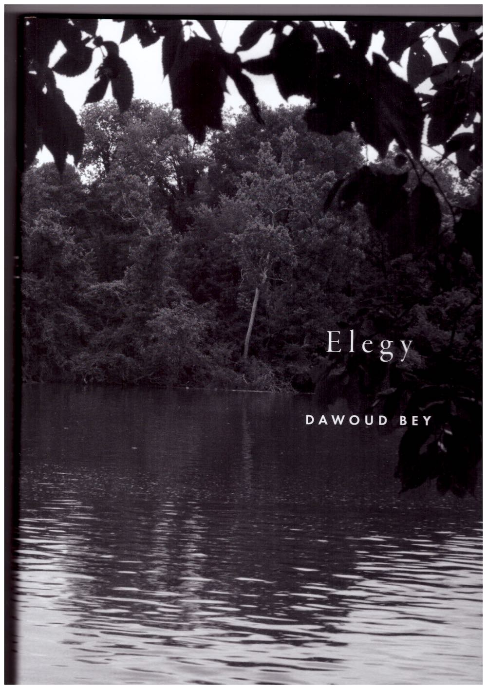 BEY, Dawoud - Elegy