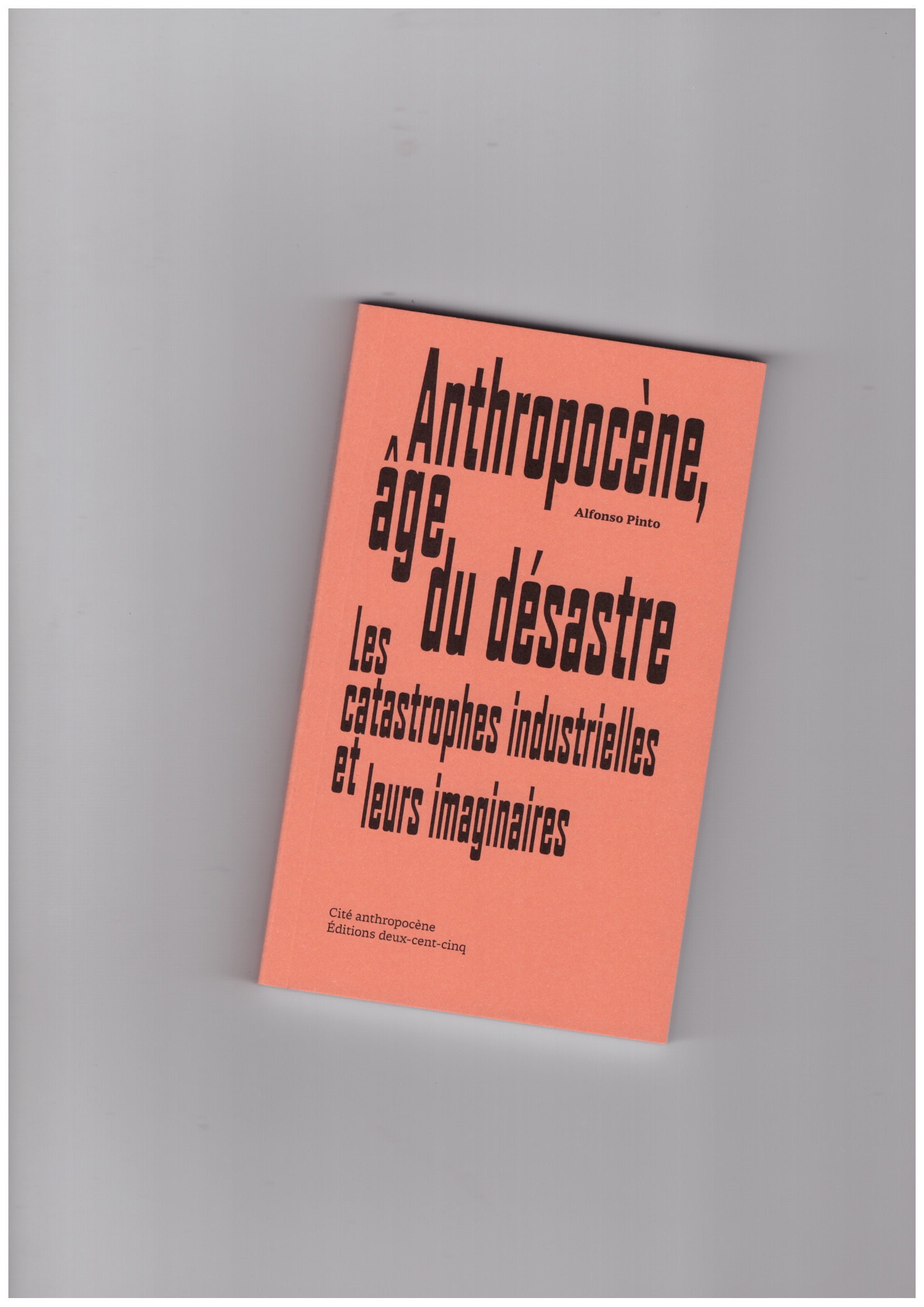 PINTO, Alfonso - Anthropocène, âge du désastre. Les catastrophes industrielles et leurs imaginaires