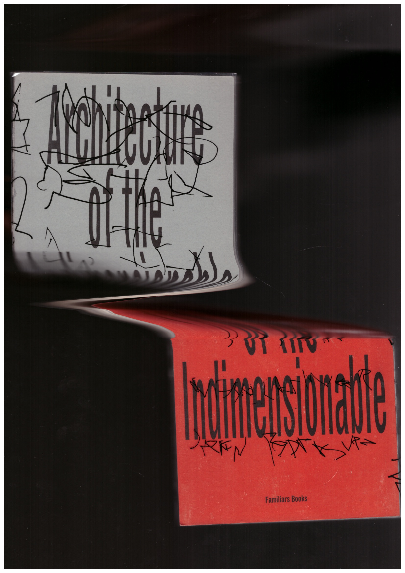 ZISSON, Ethan; CHO, Hyung; WAGSTAFFE, Matthew; MILLER, Nicholas; RODRIGUEZ, Steven; WOLFE, Matt (eds.) - Architecture of the Indimensionable