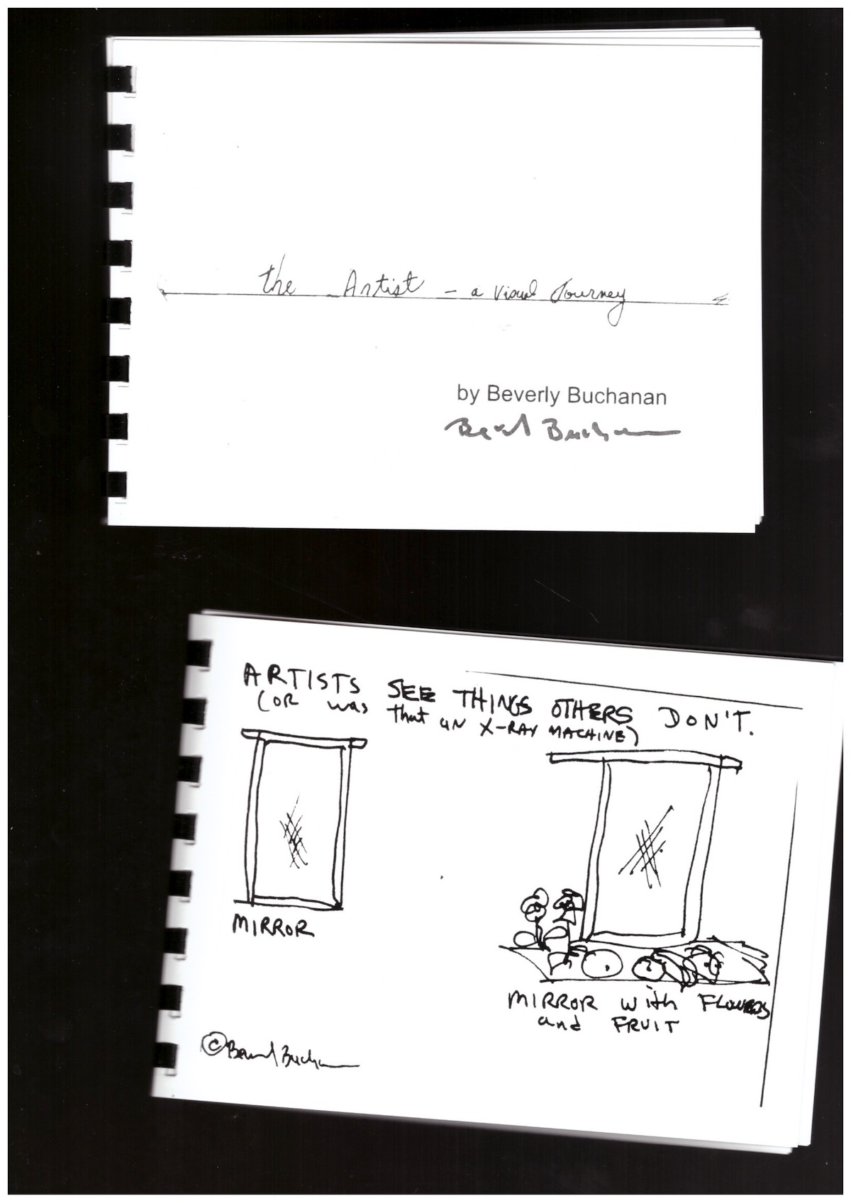BUCHANAN, Beverly - The Artist – A Visual Journey BUCHANAN, Beverly - The Artist – A Visual Journey