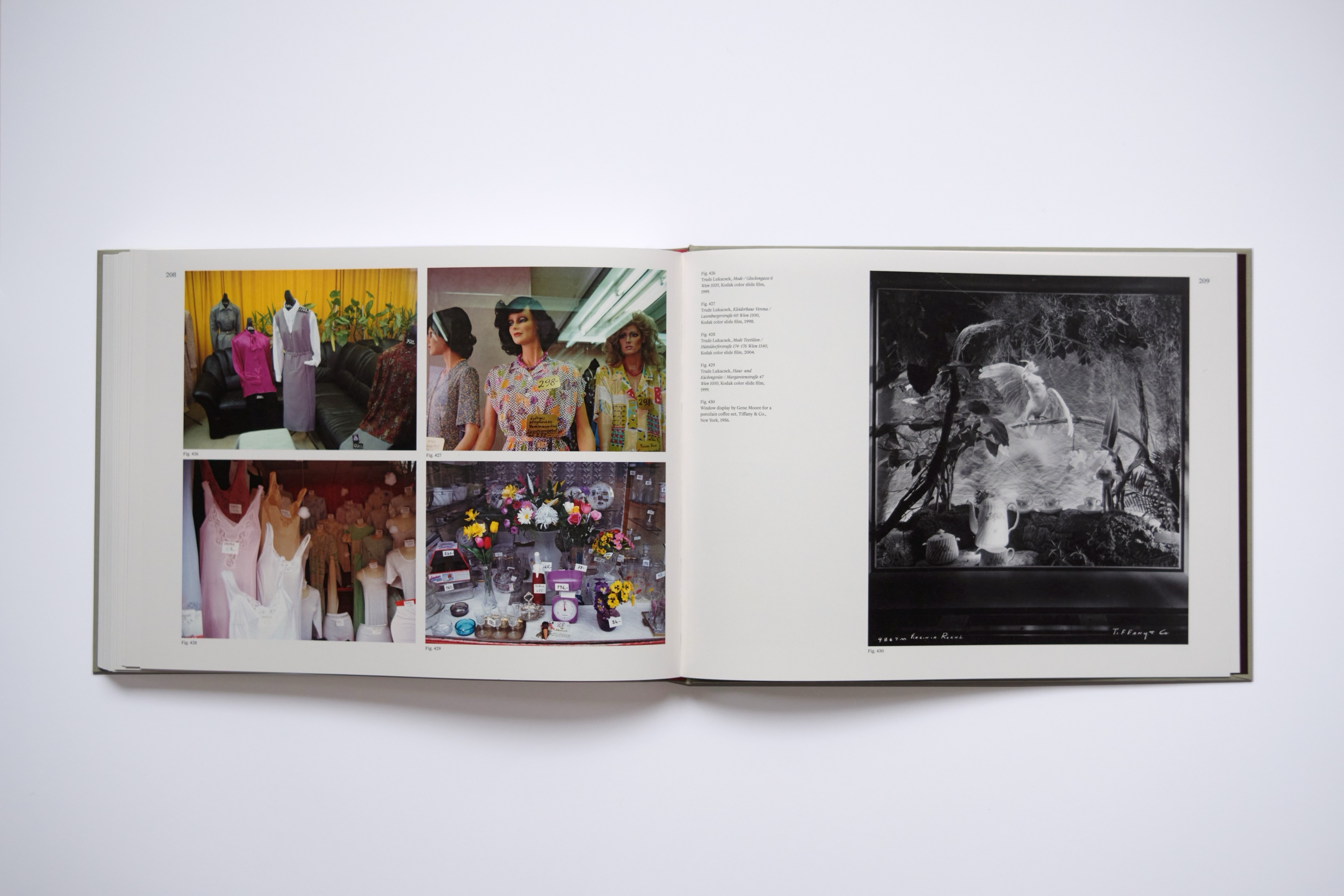 TREMBLEY, Nicolas - Craft: About Exhibitions, Craft, Art, Cultural Hierarchies, Typologies and the Art of Display