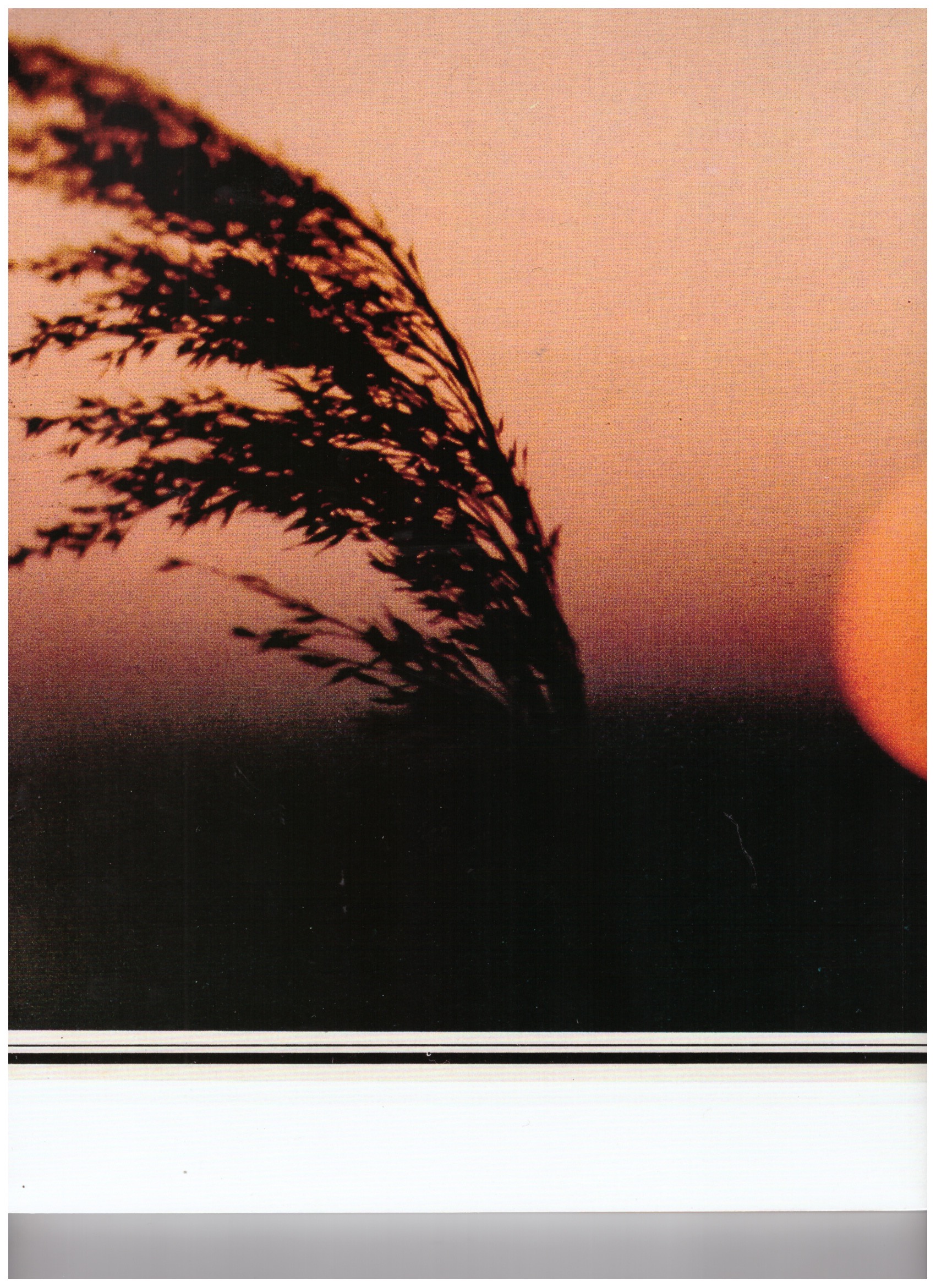 BECK, Martin - Martin Beck: ... for hours, days, or weeks BECK, Martin - Martin Beck: ... for hours, days, or weeks