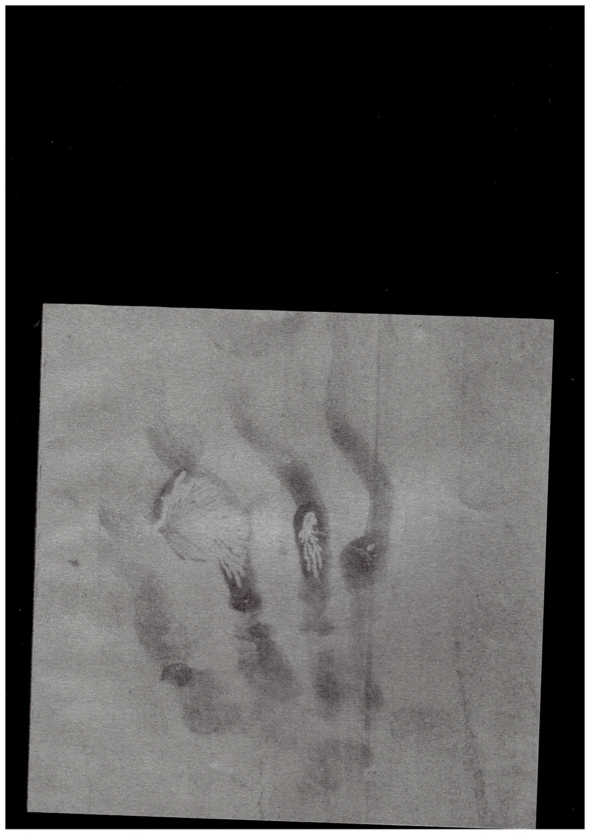 CANELL, Nina & WATKINS, Robin - Heliogram (book + flexi disc)