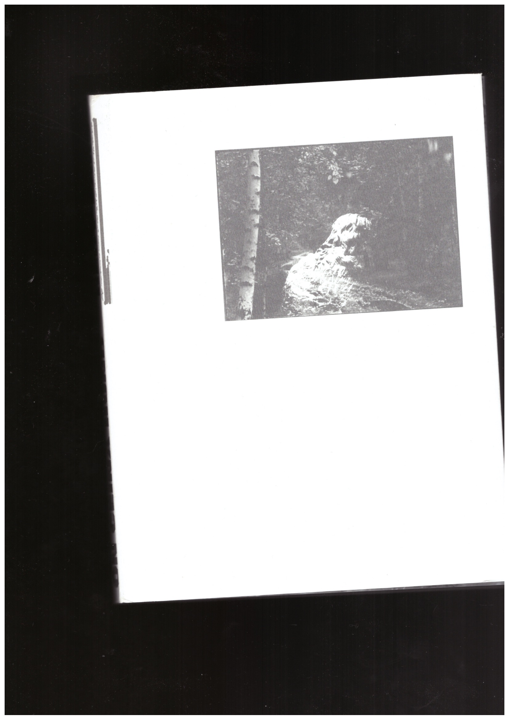 IANDOVKA, Sid; TSYRLINA, Anya  - Sid Iandovka/Anya Tsyrlina. Once in a hundred years