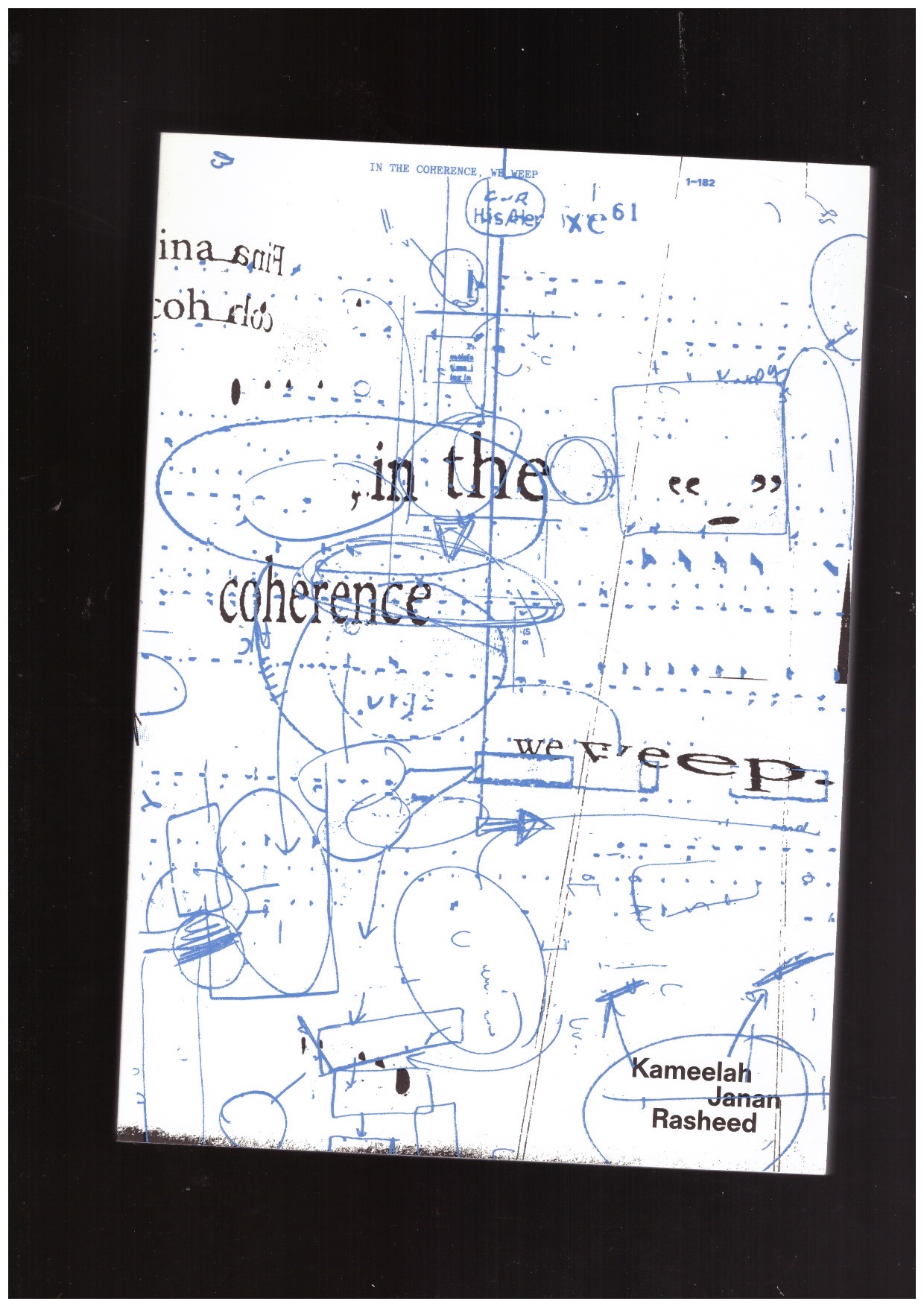 Various - Kameelah Janan Rasheed. in the coherence, we weep