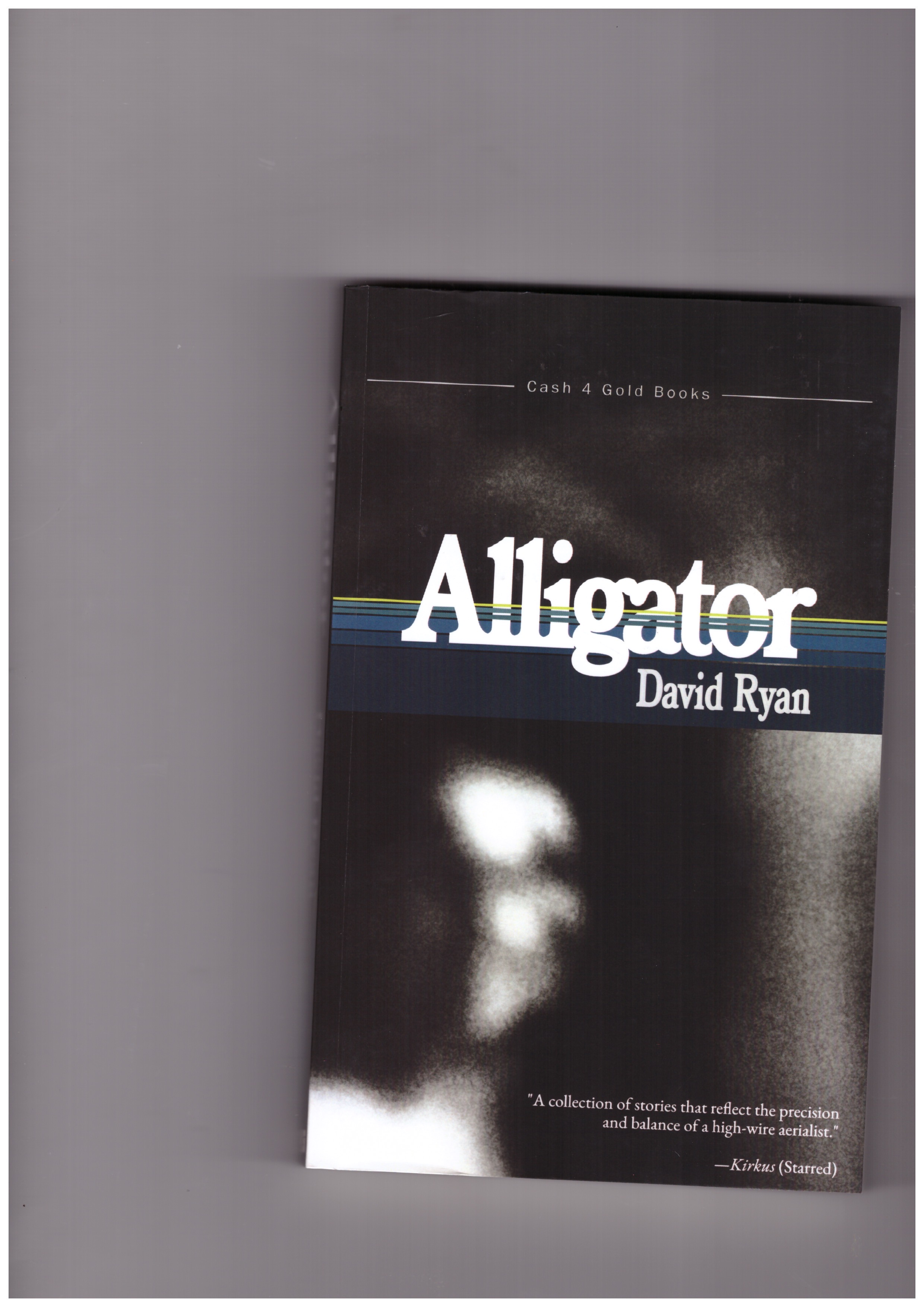 RYAN, David - Alligator