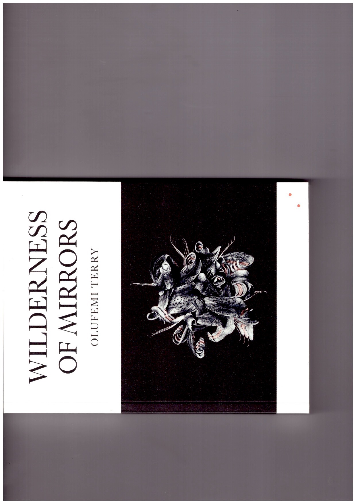 TERRY, Olufemi - Wilderness of Mirrors