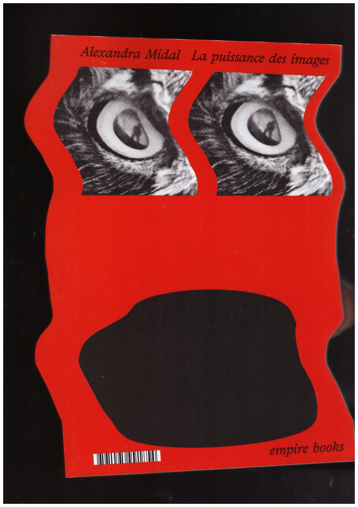 MIDAL, Alexandra - La puissance des images