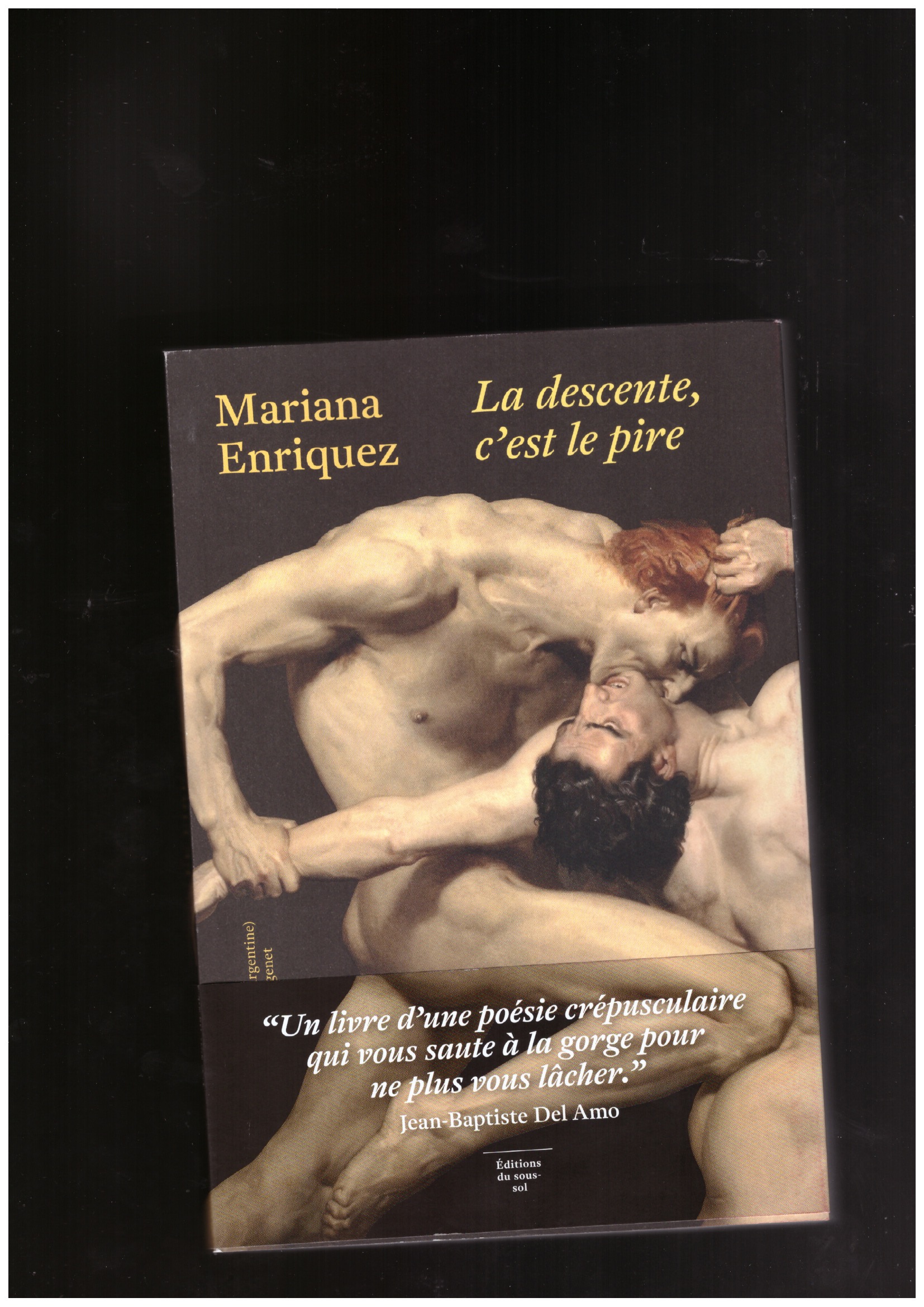 ENRIQUEZ, Mariana  - La descente, c’est le pire