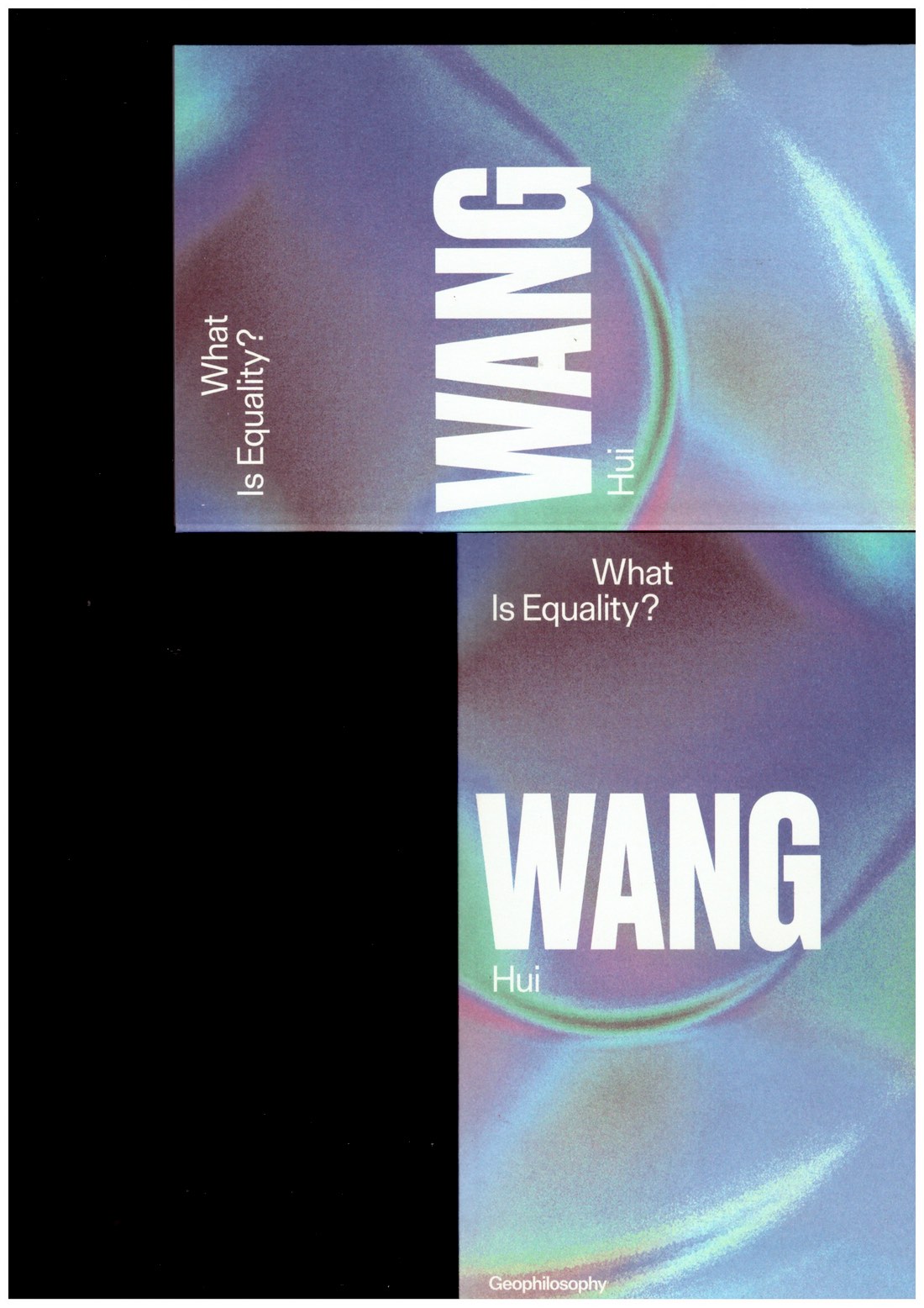 WANG, Hui - What is Equality?