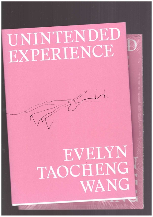 WANG, Evelyn Taocheng - Unintended Experience. A Job in Amsterdam (reprint) ()