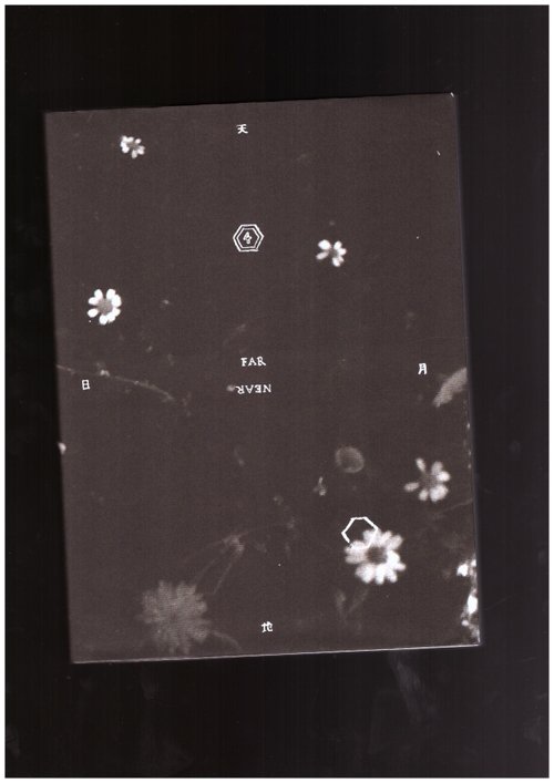 Various - FAR-NEAR Volume Four: Guidance (FAR-NEAR)