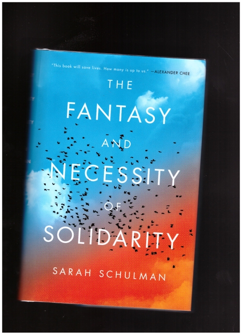 SCHULMAN, Sarah - The Fantasy and Necessity of Solidarity (Thesis)