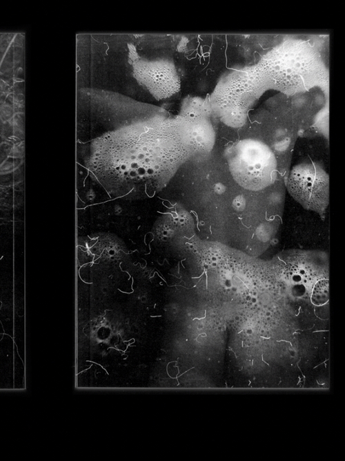 ROBINE-LANGLOIS, Théo - Crue (Dépense Défensive)