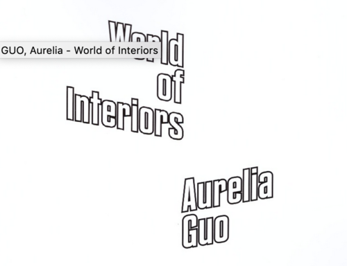 Aurelia Guo THE WORLD OF INTERIORS